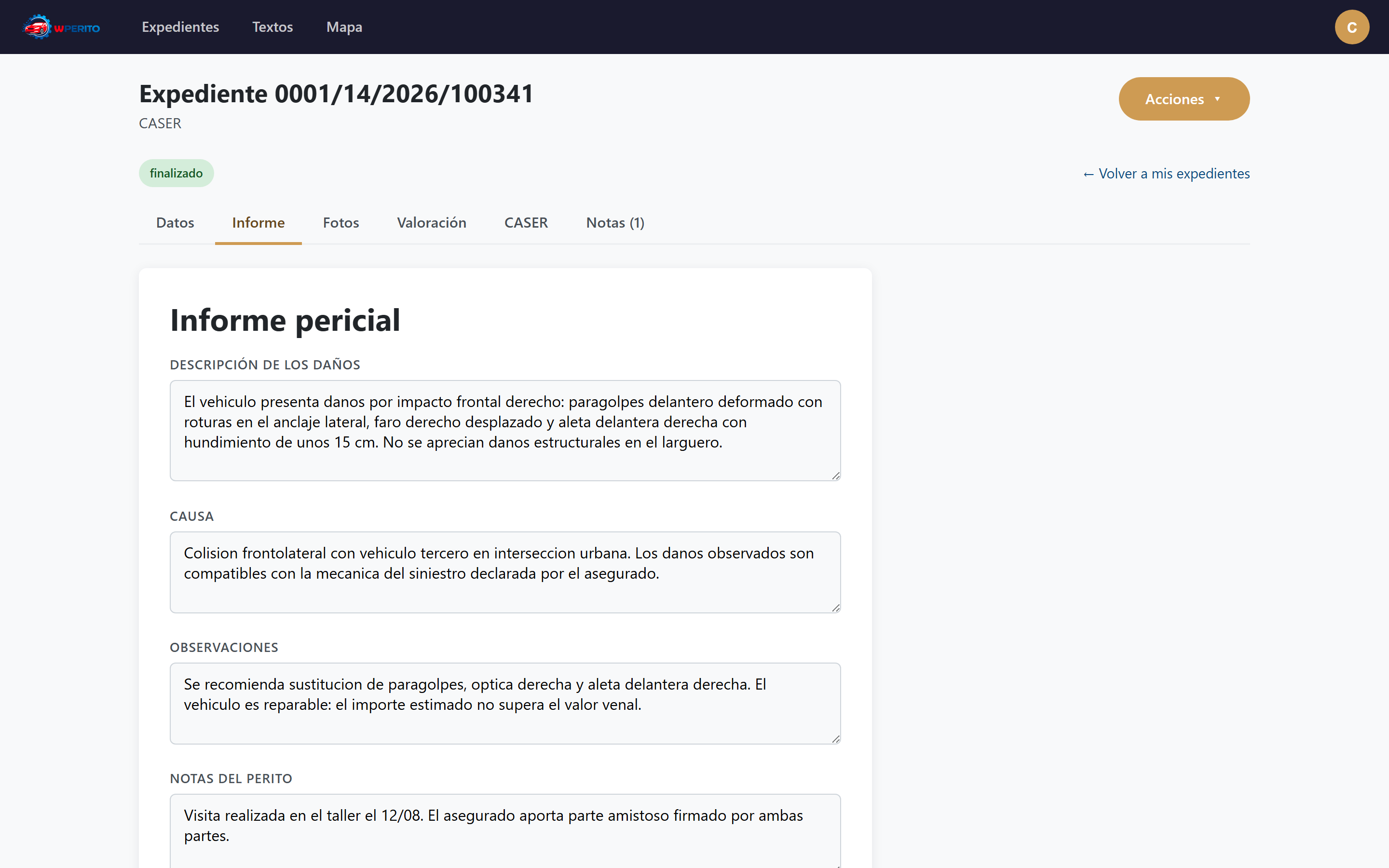 Informe pericial redactado desde el portal de wPERITO